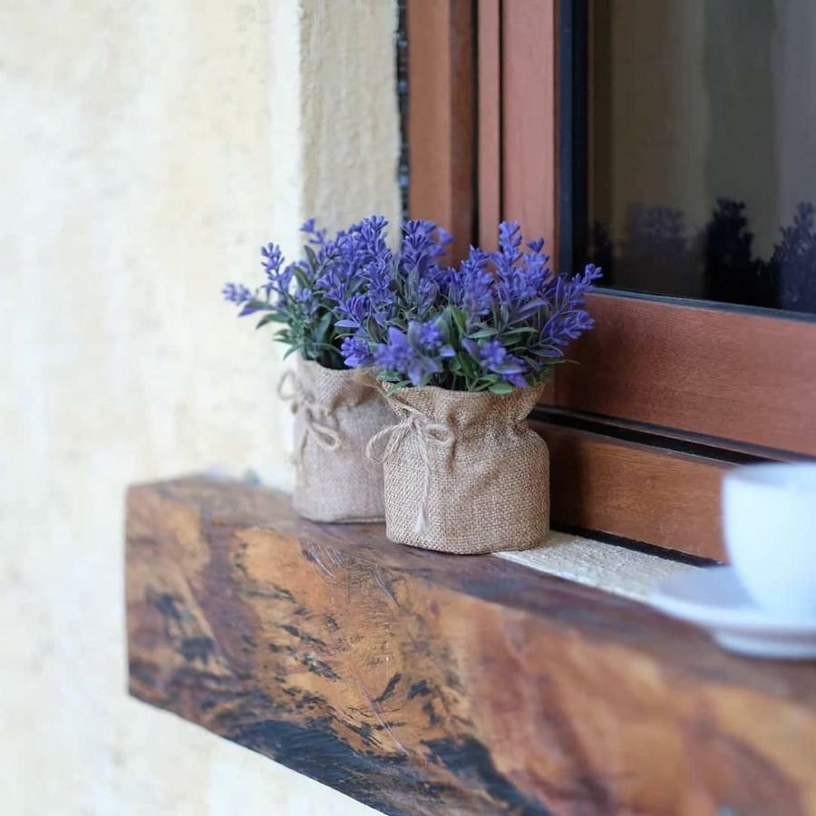 La Casa Di Beatrice Panzió Panglao Kültér fotó