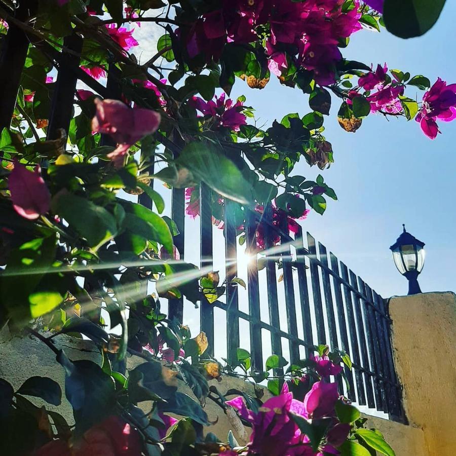 La Casa Di Beatrice Panzió Panglao Kültér fotó